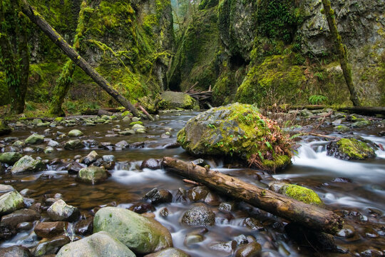 The entrance into Oneonta Gorge, a tight mossy slit cut into the bedrock, in Oregon's waterfall-ridden Columbia Gorge.