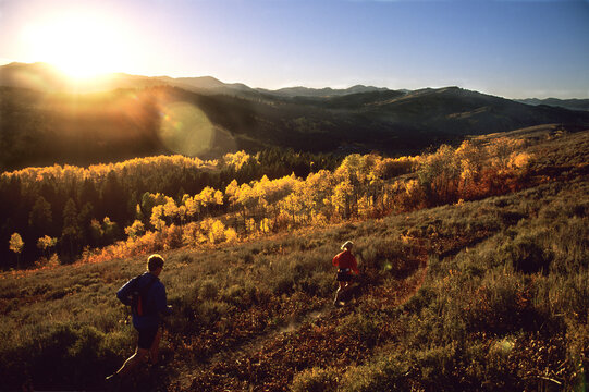 Trail Runners enjoying Fall colors, Jackson, Wyoming.