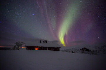 Northern lights in Pallas Yllastunturi National Park, Lapland, Finland