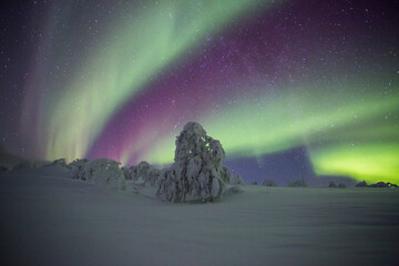 Northern lights in Pallas Yllastunturi National Park, Lapland, Finland