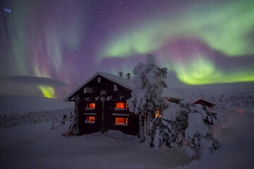 Northern lights in Pallas Yllastunturi National Park, Lapland, Finland