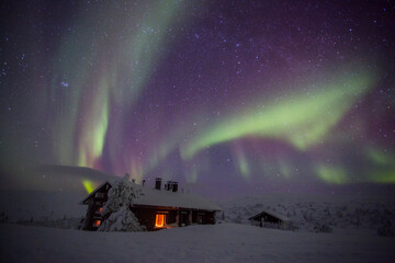 Northern lights in Pallas Yllastunturi National Park, Lapland, Finland