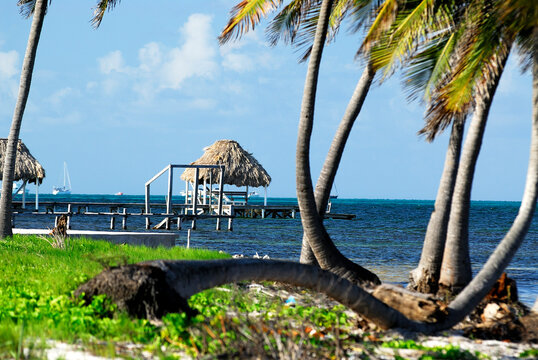 Belize, the ocean and palm trees.