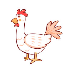 Isolated roaster draw vector illustration