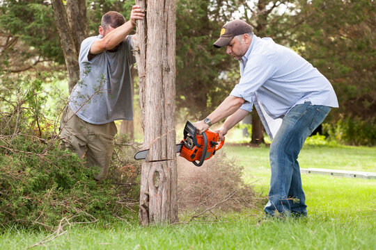 Tree cutting