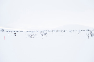 Ski expedition in Pallas Yllastunturi National Park , Lapland, Finland