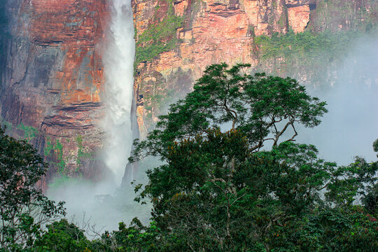 Angel Falls is the highest waterfall in the world water, with a height of 979m, generated from the Auyantepuy. It is located in the Canaima National Park in Bolivar State, Venezuel