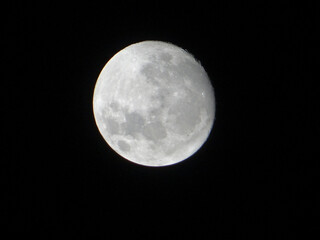 Obraz premium full moon