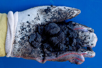 Worker holding oil sands, Suncor Facility, north of Fort McMurray, Alberta, Canada.