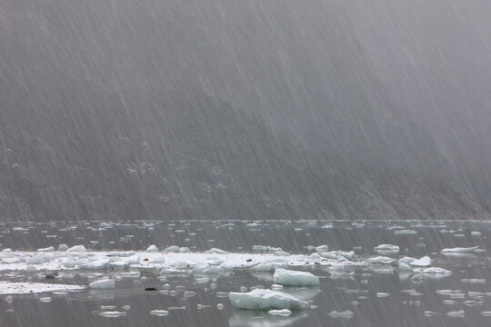 Winter, Seno Pia, East Arm, Tierra del Fuego, Chile