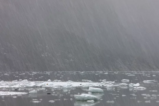Winter, Seno Pia, East Arm, Tierra del Fuego, Chile