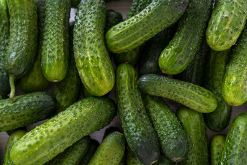 fresh gherkins texture