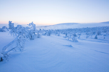 Winter landscape in Pallas Yllastunturi National Park, Lapland, Finland