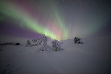 Northern lights in Pallas Yllastunturi National Park, Lapland, Finland