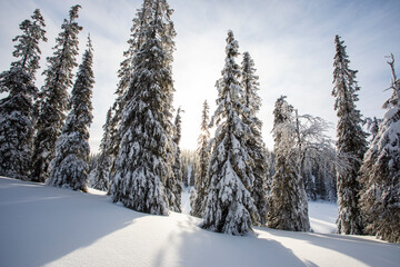 Winter landscape in Pallas Yllastunturi National Park, Lapland, Finland