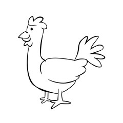 Isolated roaster black draw line vector illustration