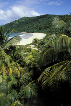 Uninhabited Caribbean beach.