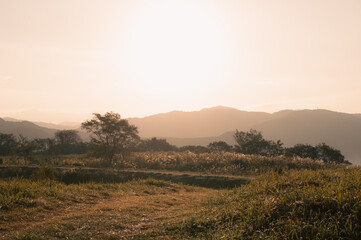 秋吉台　長者ヶ峰展望台