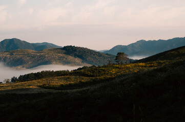 秋吉台　長者ヶ峰展望台