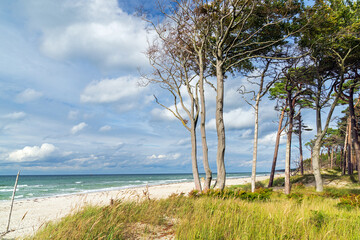 Darßer Weststrand, Fischland-Darß-Zingst, Mecklenburg-Vorpommern, Deutschland