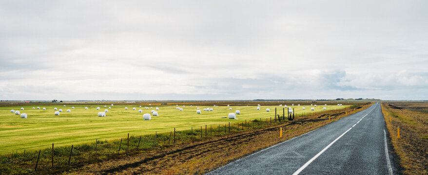 Empty rural road during harvest time in Iceland south