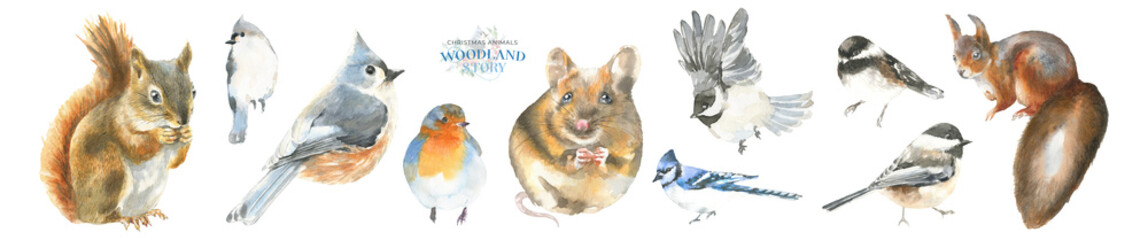 Fototapeta premium Watercolor Woodland Christmas Deer illustration, Cute Single Drawing isolated, Christmas Character decoration for greeting card, poster, invitation, baby shower Merry Christmas, New Year, holiday diy