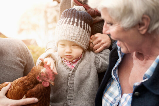 Family with chicken bird sitting in poultry farm, Bavaria, Germany