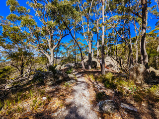 Bay of Fires Trail in Tasmania Australia