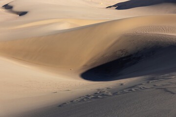 Whimsical shapes and warped shadows of the dune.