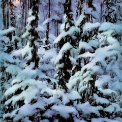 stream in winter forest