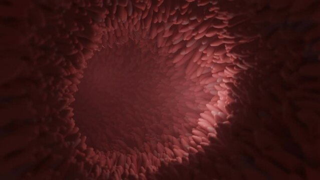 Microvilli on surface of digestive system or intestinal tract. 3D rendering.