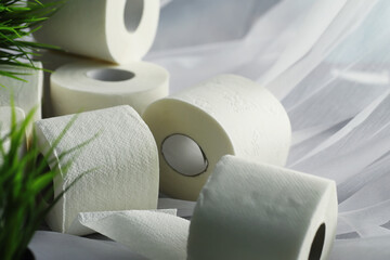 Toilet paper in a roll. Snow-white soft three-layer toilet paper. Lack of hygiene products. Primary...