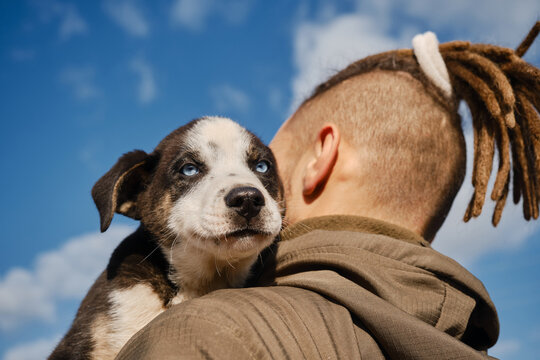 Man Chose Puppy From Shelter. Young Caucasian Man With Dreadlocks Hugs Blue-eyed Alaskan Husky Puppy Outside On Warm Day. Close Up Portrait Against Blue Cloudy Sky, View From Behind.