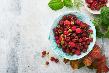 Raspberry. Branch of ripe raspberries with leaves on old concrete tile background backgrounds. Advertising, announcement, harvest or postcard concept. Place for text. Top view.