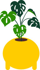 Potted Houseplant Garden Vector