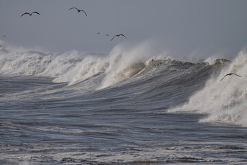 Big breaking sea wave with spray