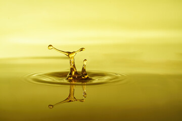 snail and water drop like the letter y