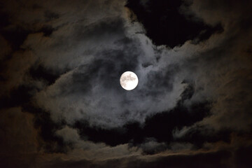 Naklejka na ściany i meble 雲に隠れる月