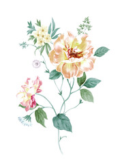 Flowers watercolor illustration.Manual composition.Big Set watercolor elements，Design for textile, wallpapers，Element for design,
Greeting card