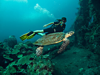 Young woman diver with a sea turtle on the coral reef in Tulamben dive site, Bali, Indonesia