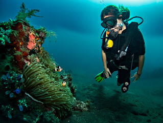 Naklejka na ściany i meble Woman diver at colorful coral reef. Amazing underwater life , corals and fishes in Bali, Indonesia