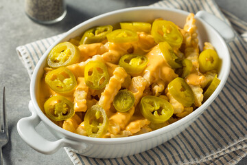 Homemade Queso Cheese French Fries