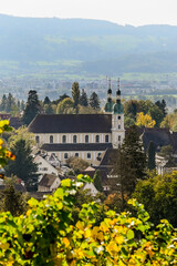 Arlesheim, Dom, Weinberg, Birstal, Birsebene, Dorf, Aesch, Pfeffingen, Herbst, Herbstfarben,...