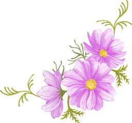 bouquet of pink purple cosmos flowers