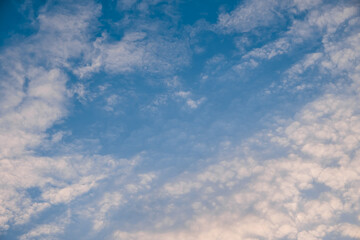 Altocumulus clouds with blue sky in the morning. Middle level layer clouds, extraordinary cloud formation, winter season is coming concept.