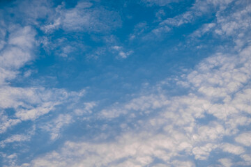 Altocumulus clouds with blue sky in the morning. Middle level layer clouds, extraordinary cloud formation, winter season is coming concept.