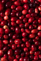 Raw Red Organic Fresh Cranberries
