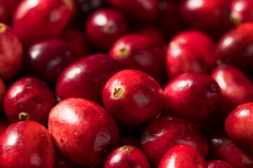 Raw Red Organic Fresh Cranberries