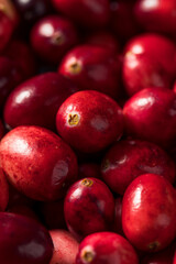 Raw Red Organic Fresh Cranberries