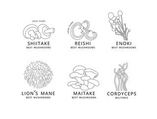 Vector set of icons in linear style - enok, shiitaki, maitake, cordyceps, reishi and lion's mane mushrooms. Logo signs.